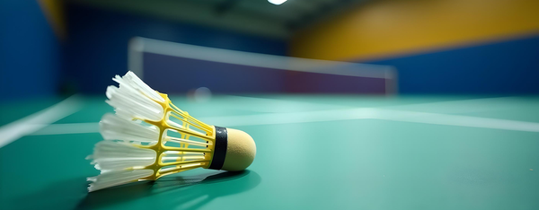 Tips to remember before buying badminton shuttlecocks