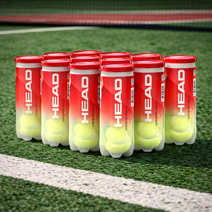 Head Championship Tennis Ball (36 Balls) 1
