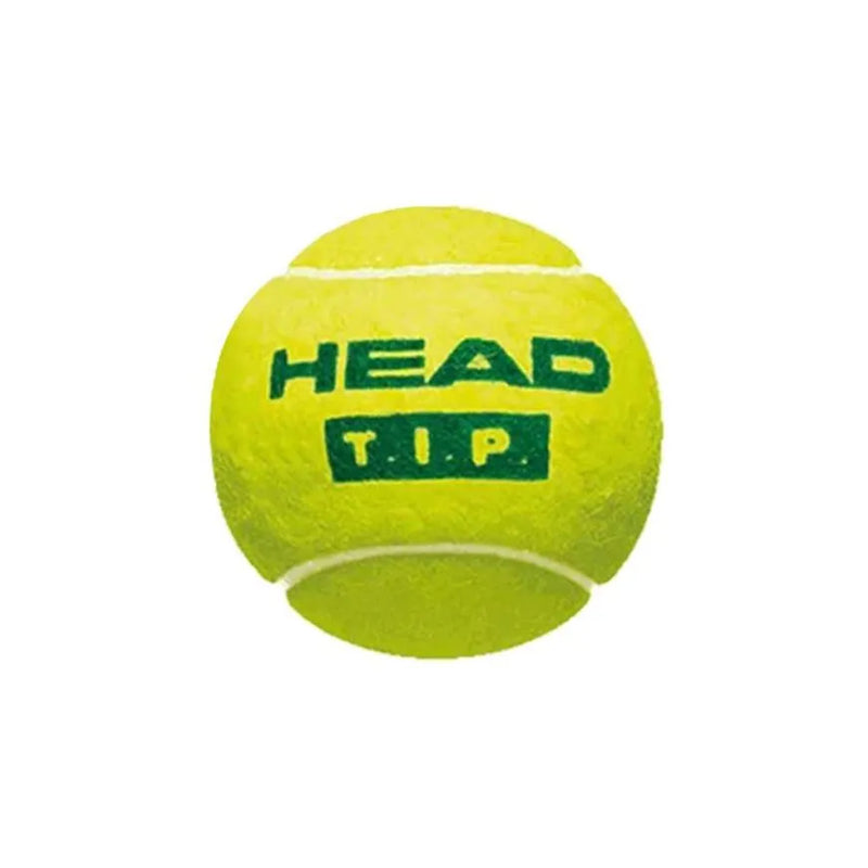 Head TIP Green Tennis Ball Carton (72 Balls) 3