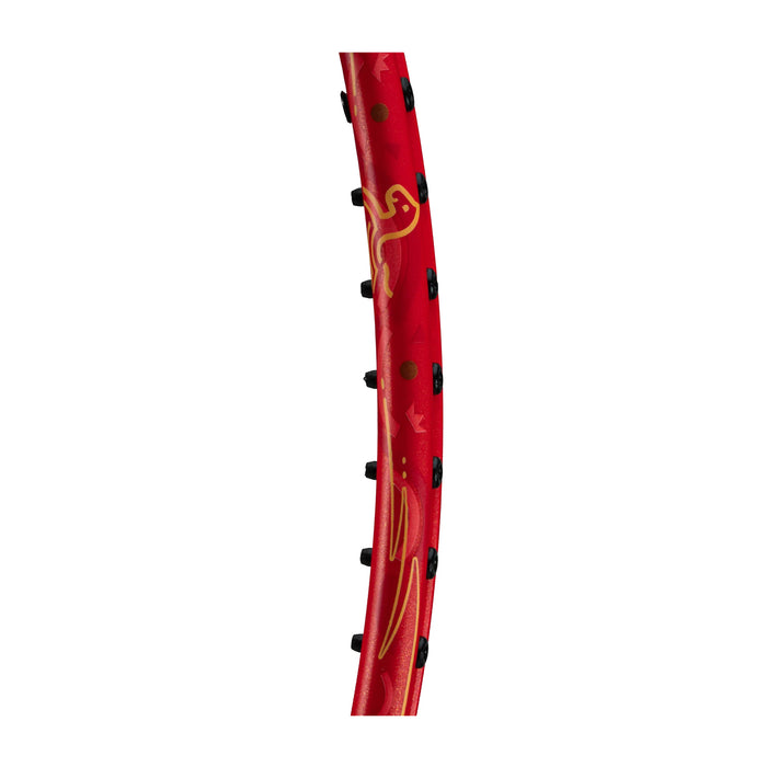 Li-Ning Axforce Cannon Pro Limited Edition Badminton Racket (4U) 8