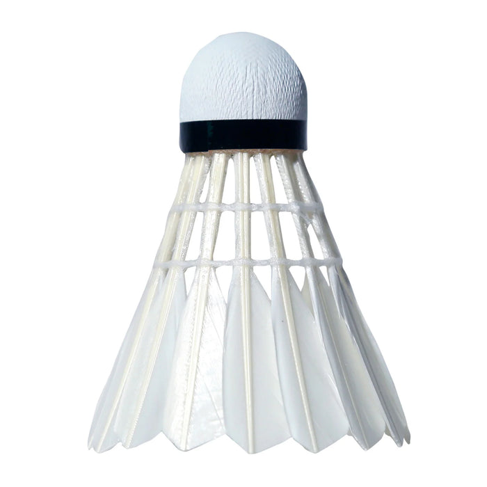 Transform TF 100 Feather Badminton Shuttlecock (Speed 76) 4