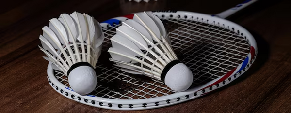 Top 9 Best Beginner-Friendly Badminton Rackets in India