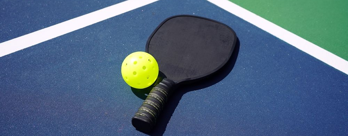 WPC Series 2024: India leading the charts with 28 medals at the World Pickleball Championship
