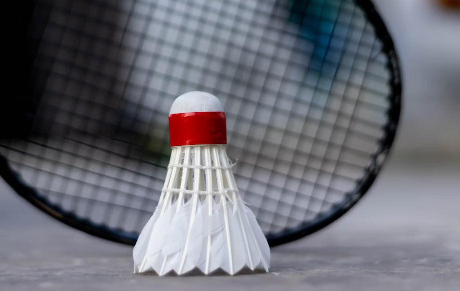Top 10 badminton shuttlecock brands in 2025