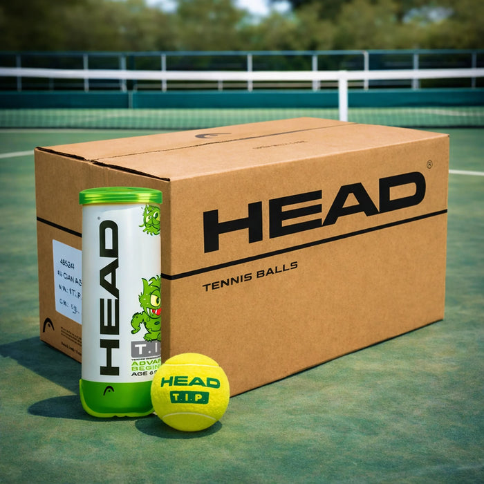 Head TIP Green Tennis Ball Carton (72 Balls) 1
