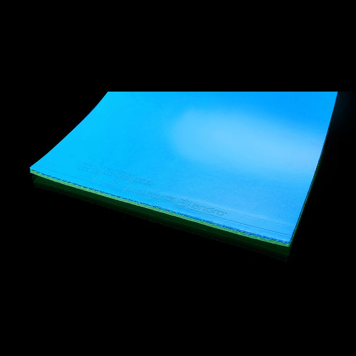 Andro Rasanter R48 Table Tennis Rubber 6
