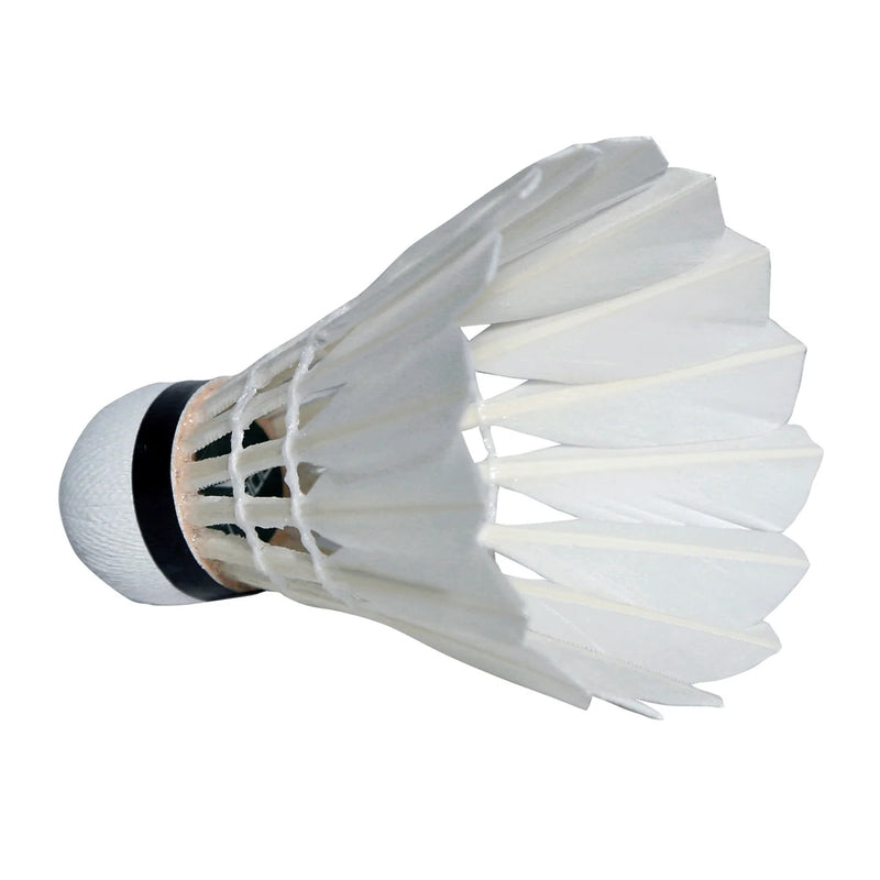 Transform TF 100 Feather Badminton Shuttlecock (Speed 76) 5