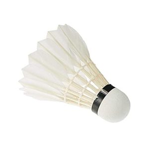 Buy Li Ning SG Gold (Speed 76) Badminton Feather Shuttlecock (Pack of 5) at lowest price