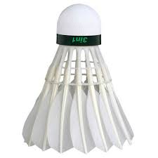 Buy Adidas FS09 (Pack of 10) Hybrid Feather Badminton Shuttlecock (Speed 77)