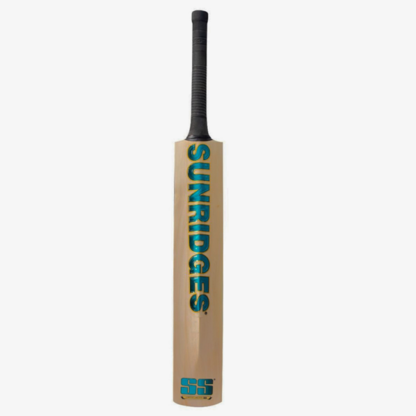 Kashmir Willow Cricket Bat