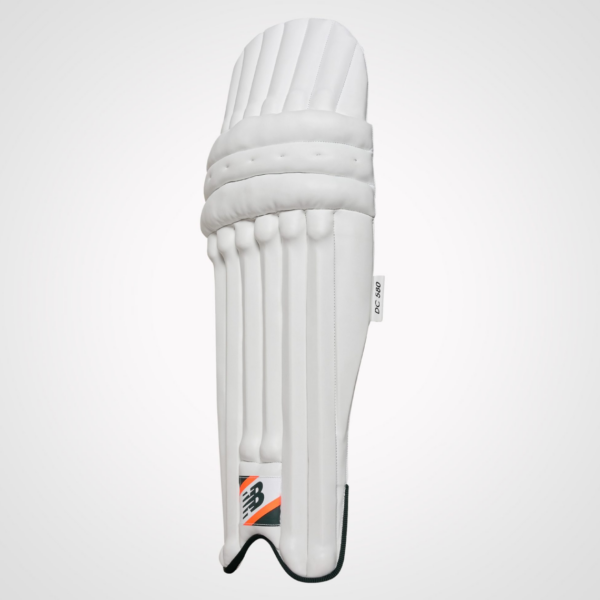 Cricket Wicketkeeping Pads
