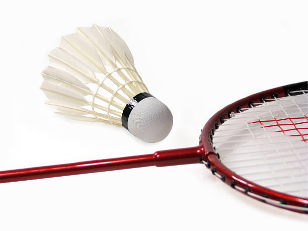 badminton brand YONEX