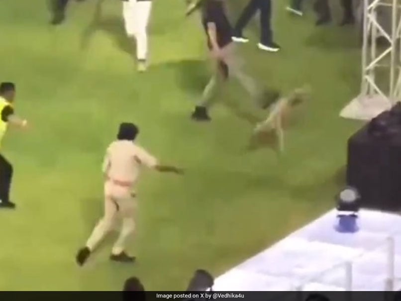 Dog Abuse at IPL Match Sparks Outrage from Animal Rights Activists