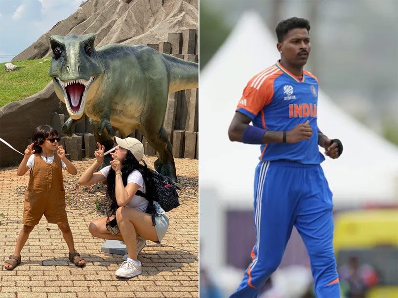 Hardik Pandya and Natasa Stankovic Announce Separation After Four Years