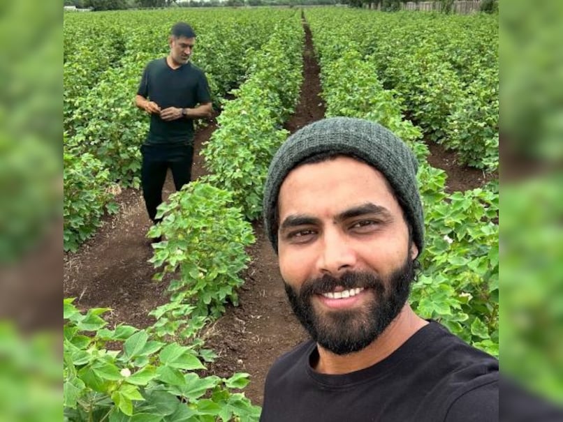 CSK's Dhoni and Jadeja Spark Speculation with Viral Farm Photo