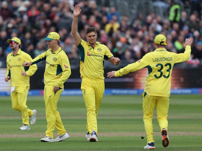 Australia Clinch ODI Series Win Over England with Rain-Aided Victory