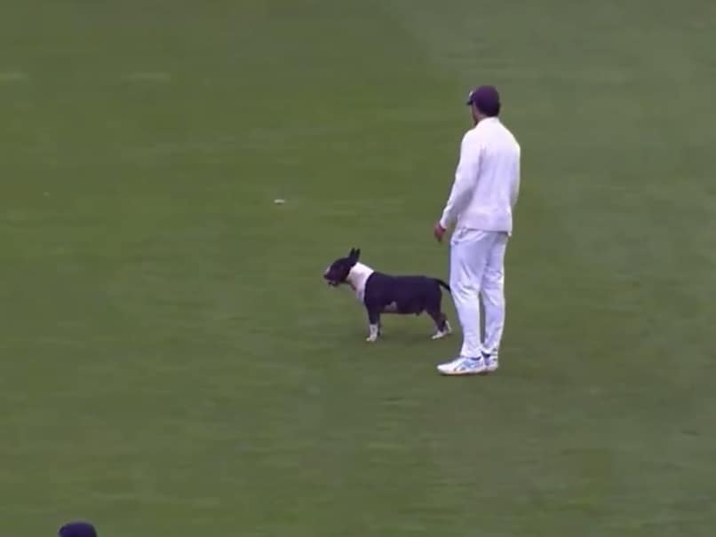 Dog Steals the Show in County Championship, Sri Lanka Seals Historic Test Win