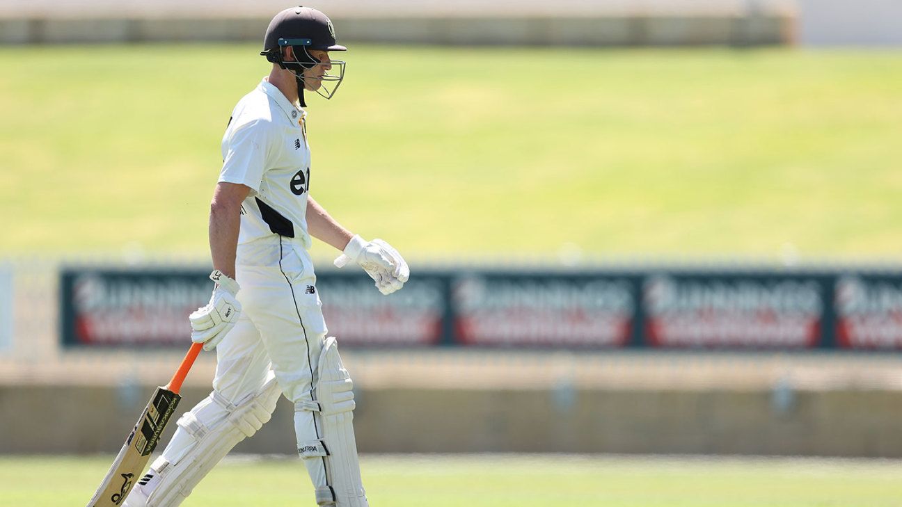 Bancroft's Test Hopes Dented as WA Beats Tasmania