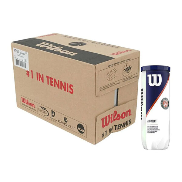 Wilson Roland Garros All Court Tennis Balls