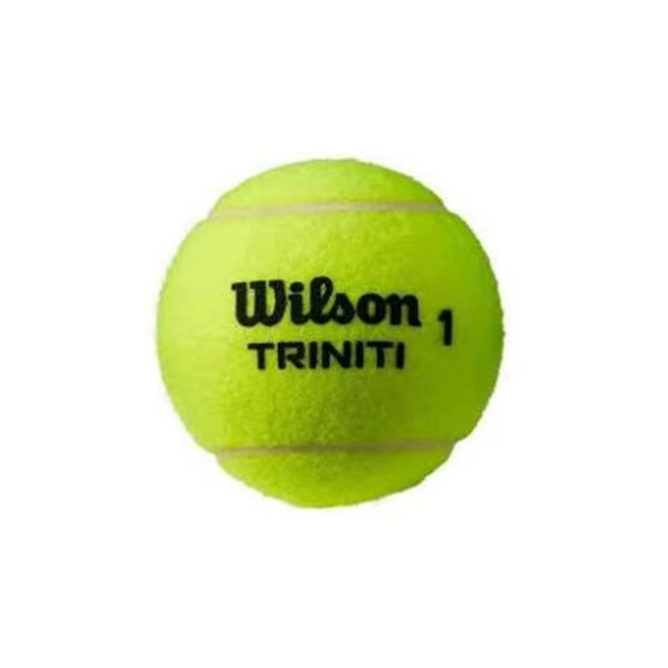 Wilson Trinity All Court Tennis Balls