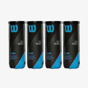 Wilson Tour Premier Tennis Balls