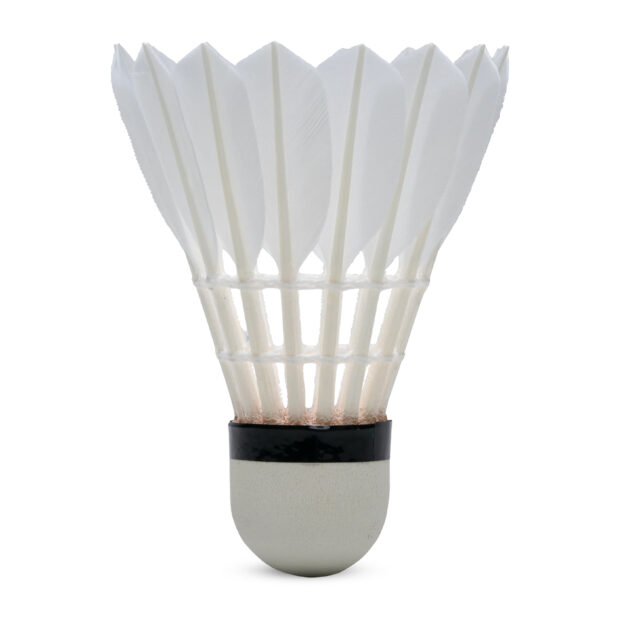 Hundred F5 Feather Badminton Shuttlecock