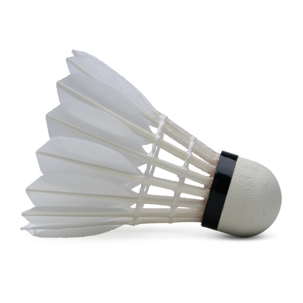 Hundred F5 Feather Badminton Shuttlecock