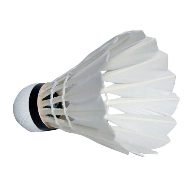 Transform TF 100 Feather Badminton Shuttlecock