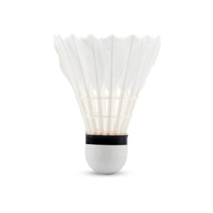 Li-Ning G500 Feather Badminton Shuttlecock (Speed 77)