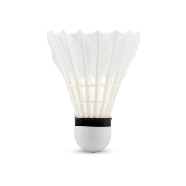 Li-Ning G500 Feather Badminton Shuttlecock (Speed 77)