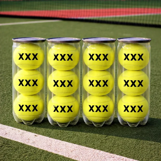 HEAD PENN X-Out Tennis Ball (12 Balls)